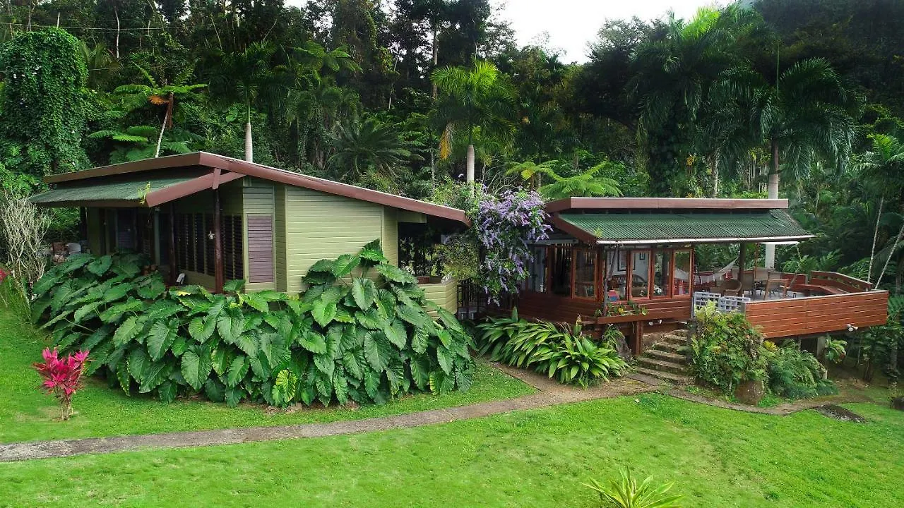 Casa Tugwell, A Mystic Chalet Inside El Yunque Rainforest Hotel Rio Grande