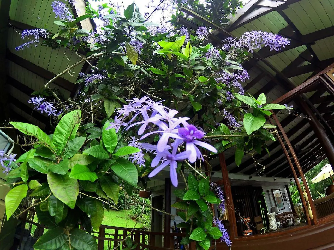 Nyaraló Casa Tugwell, A Mystic Chalet Inside El Yunque Rainforest Hotel Rio Grande