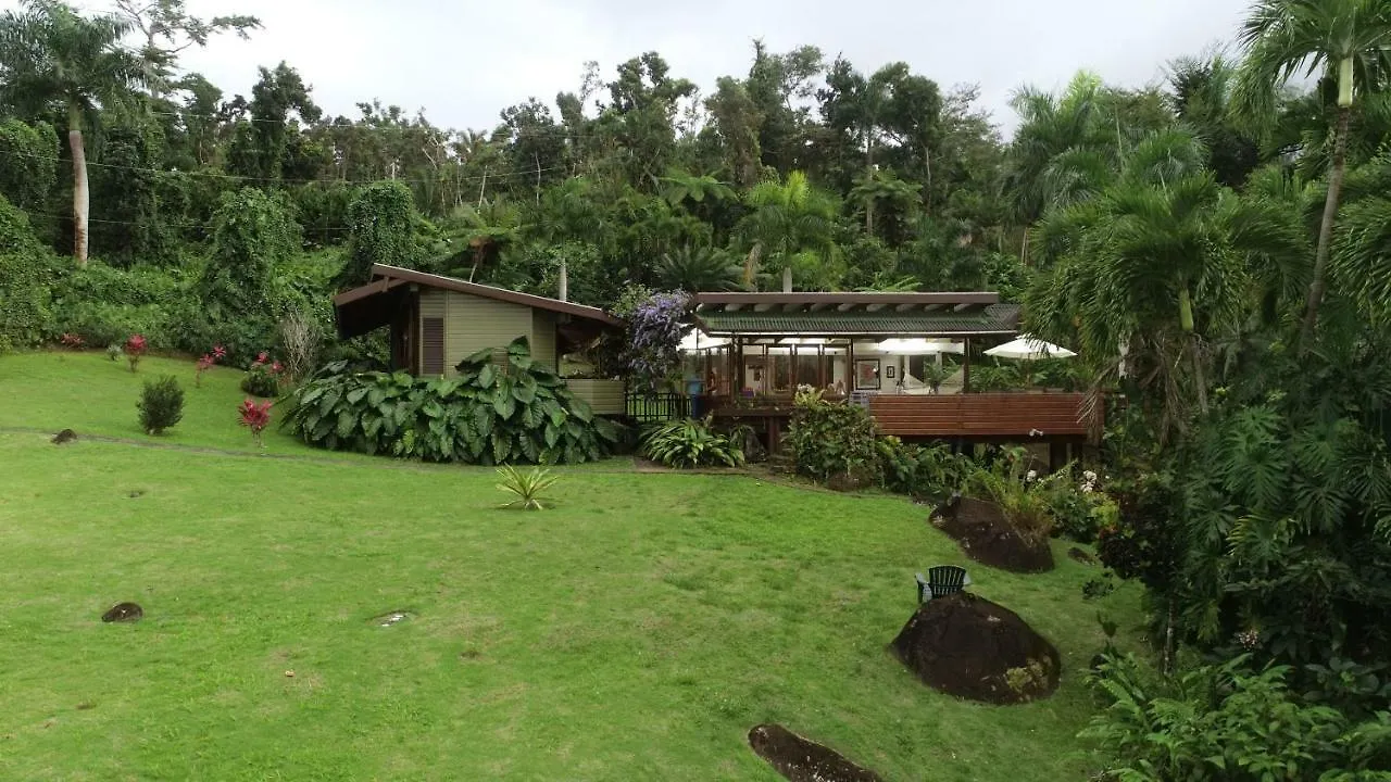 מלון ריו גראנדה Casa Tugwell, A Mystic Chalet Inside El Yunque Rainforest בית נופש