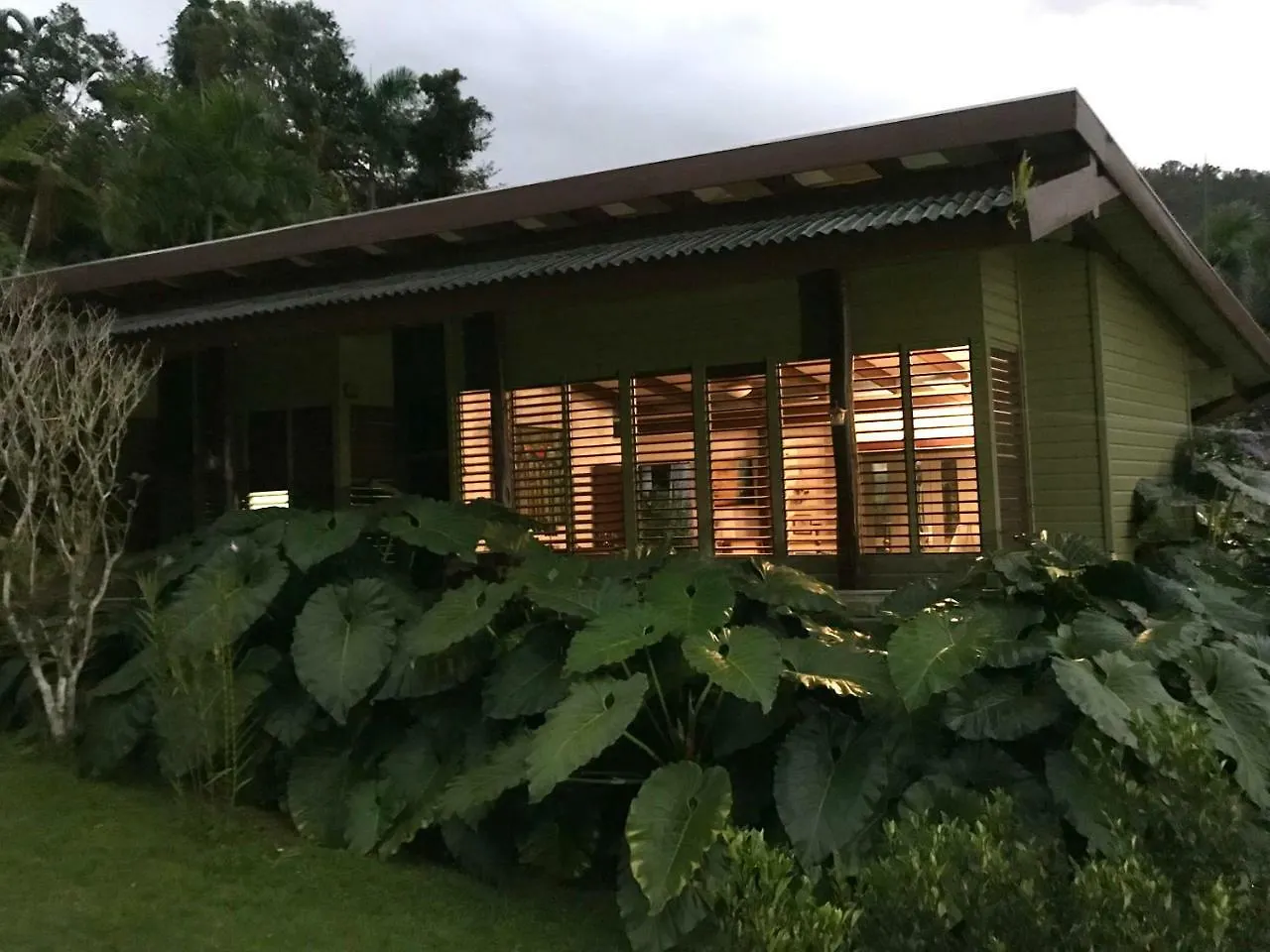 מלון ריו גראנדה Casa Tugwell, A Mystic Chalet Inside El Yunque Rainforest בית נופש