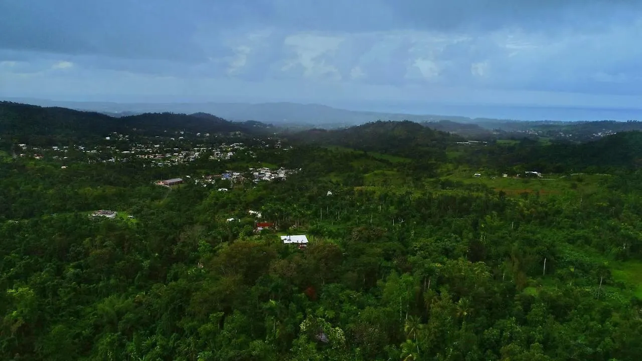 בית נופש מלון ריו גראנדה Casa Tugwell, A Mystic Chalet Inside El Yunque Rainforest פוארטו ריקו